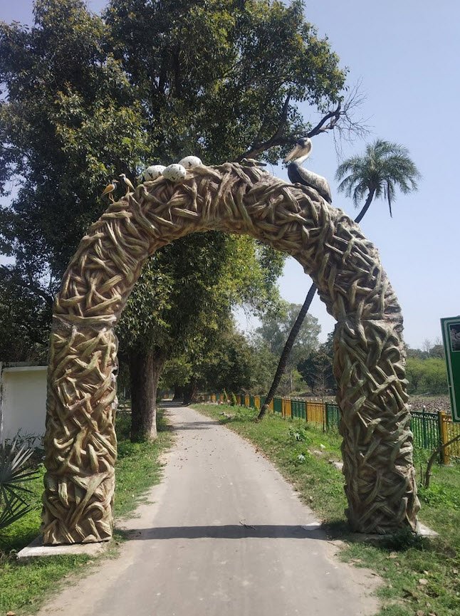 Kanjli Wetlands, Kapurthala, Punjab - Vushii.com Kanjli Wetlands, Kapurthala, Punjab - Vushii.com